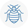 Bed Bug Extermination In Thurrock