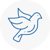 Bird Prevention Thurrock
