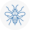 Thurrock Hornet Nest Removals