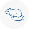 Rat Control Thurrock