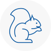 Thurrock Rodent Removals