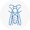 Thurrock Wasp Nest Removal